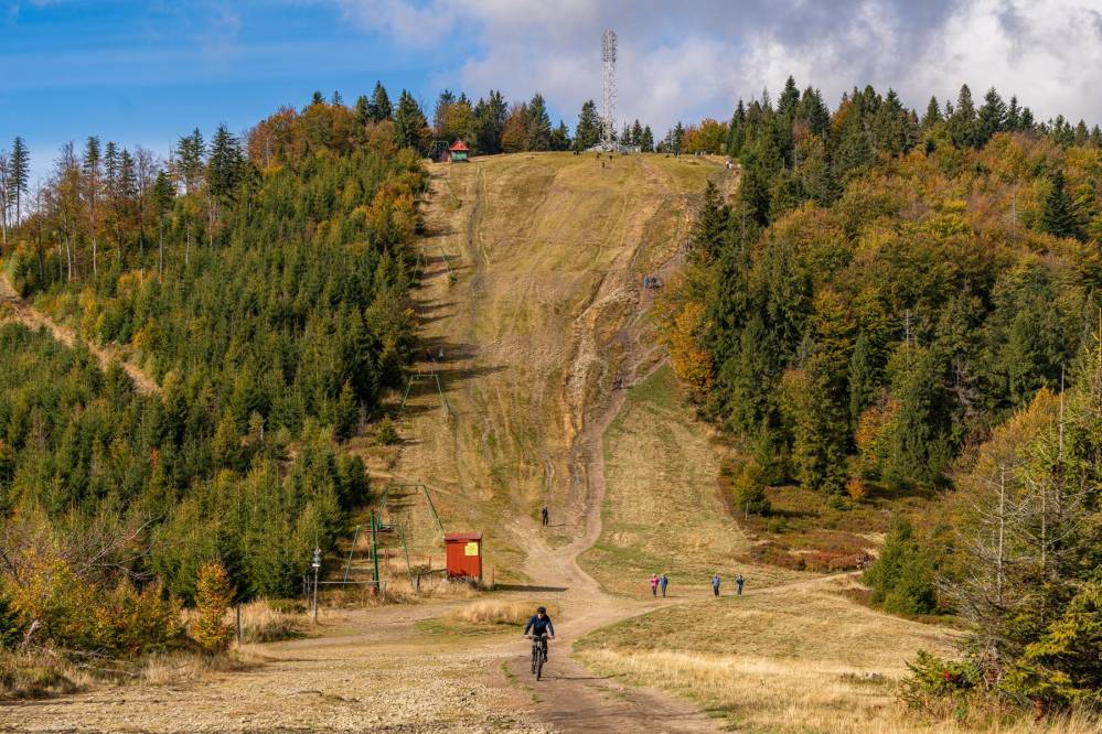 11. Klimczok