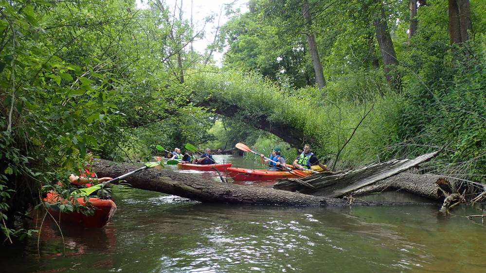 Szlak kajakowy Białka Lelowska