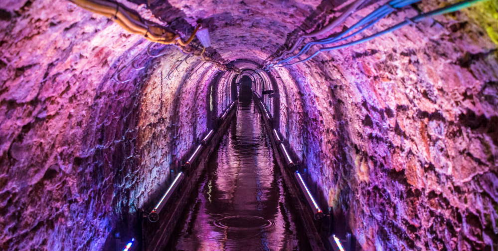 Najciekawsze atrakcje dla dzieci na Śląsku