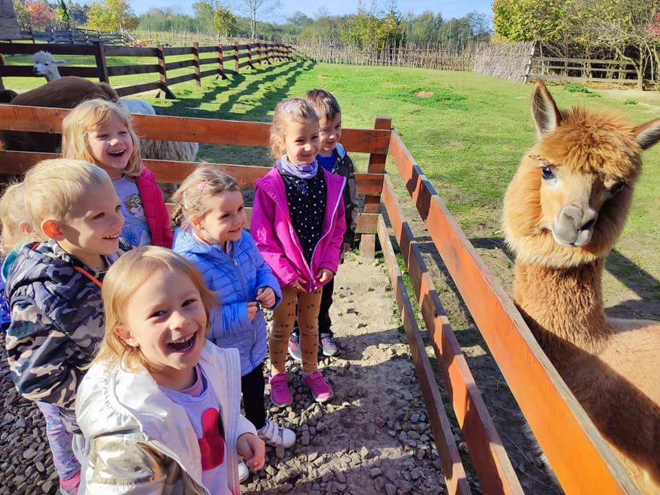 Zagroda edukacyjna ALPAQUERO,