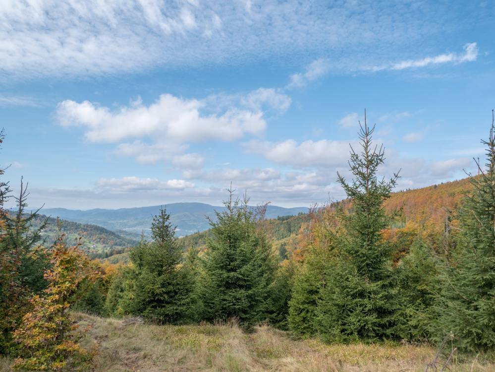 Czarny szlak rowerowy w Węgierskiej Górce